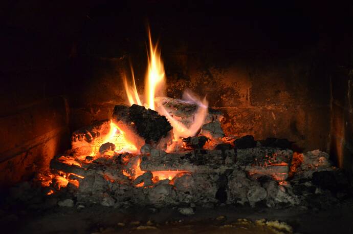 Wood Burning Pizza Oven (28)