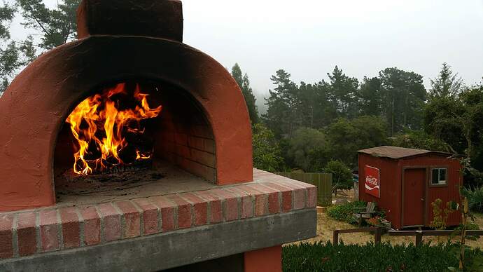 Outdoor Wood Pizza Oven (95)