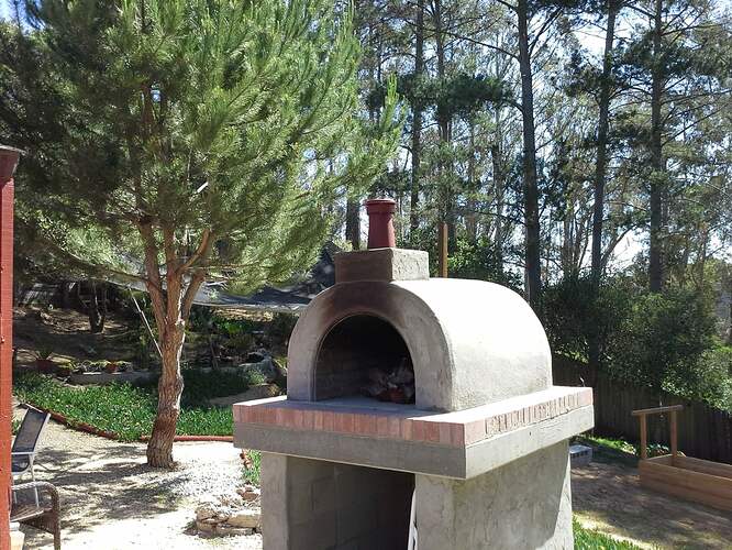 Outdoor Wood Pizza Oven (85)