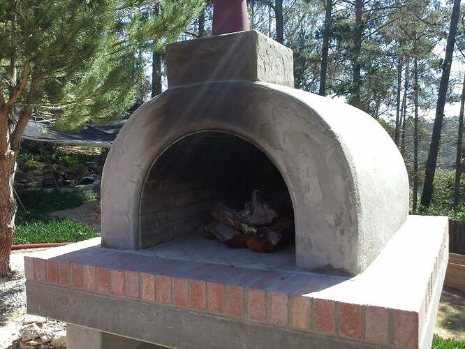 Outdoor Wood Pizza Oven (86)