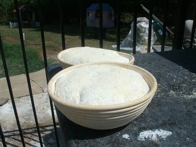Outdoor Bread Oven (42)